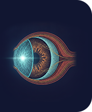 eye-center-segmento-anterior-segmento